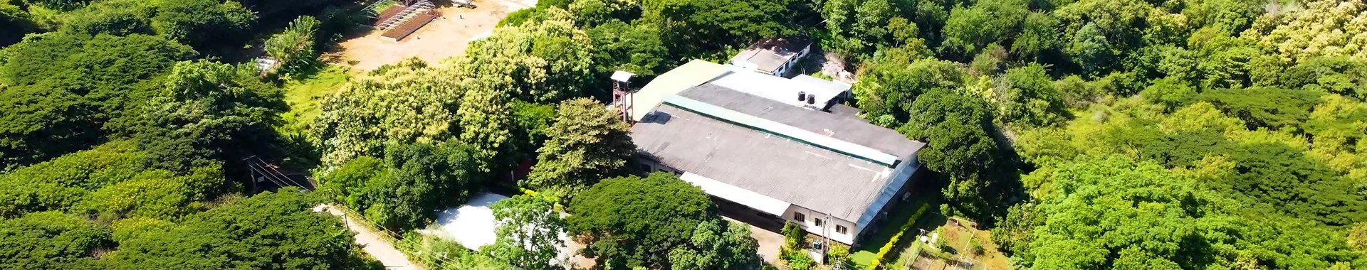 Aerial view of the Eco Lanka factory nestled among lush green trees, showcasing a serene and natural environment
